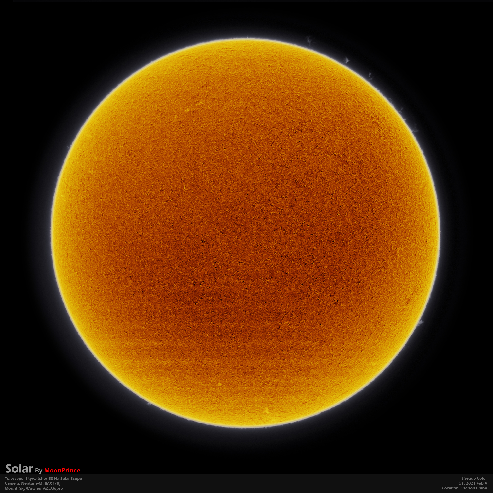 SUN20210204-s-1.jpg (2000×2000)