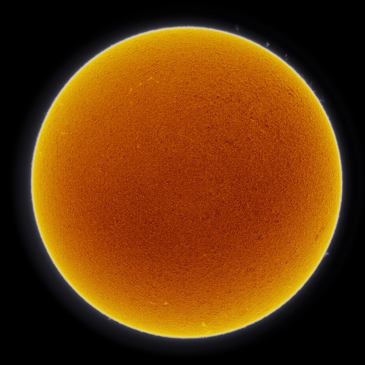 Solar Solar