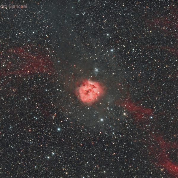 Cocoon Nebula_C14HD_Hyperstar v4_Poseidon-C PRO_Alessandro Bianconi