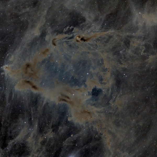 Dust and gas clouds in Cepheus – LDN 1155